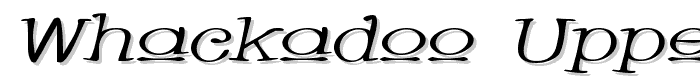 Whackadoo Upper Wide Italic font